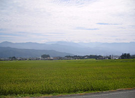 接道村道からの風景