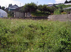 北東側進入道路から